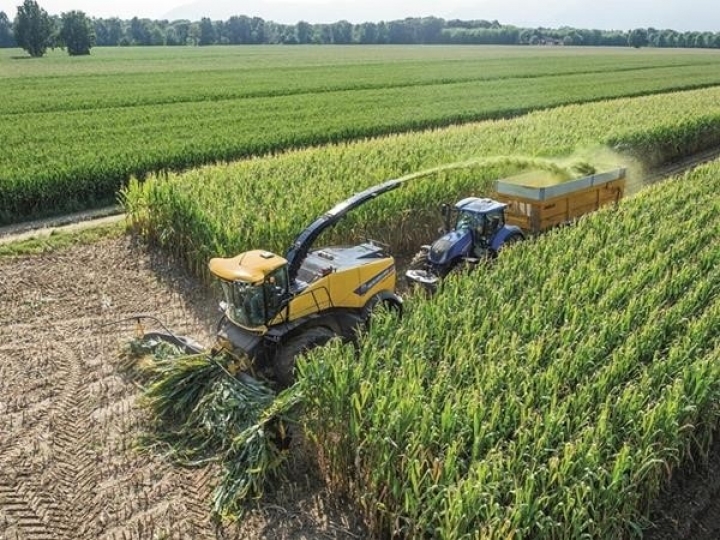 New Holland comemora 60 anos da produção da primeira forrageira autopropelida