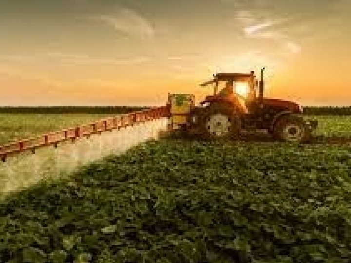 Agro paulista cresce 11,9% nos sete primeiros meses de 2021