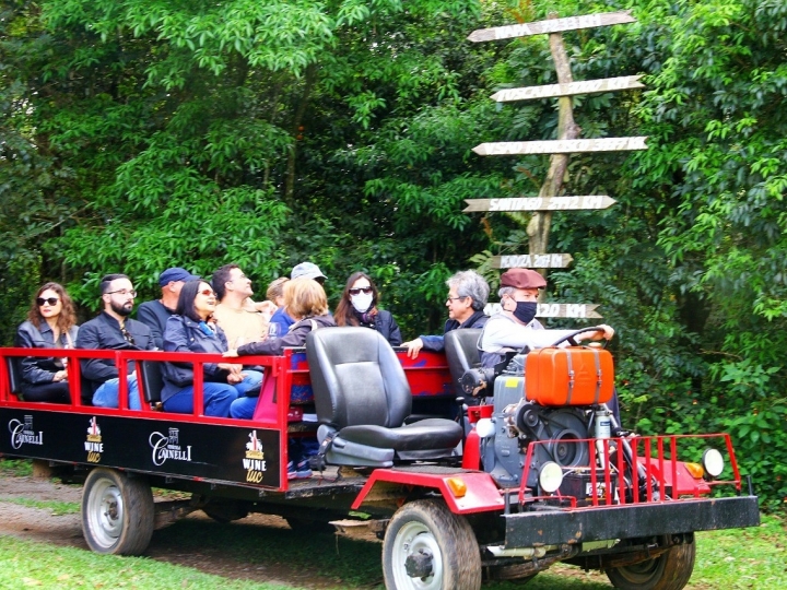 Com visitas em 14 vinícolas, Circuito do Vinho se consolida como novo roteiro enoturístico da Serra Gaúcha