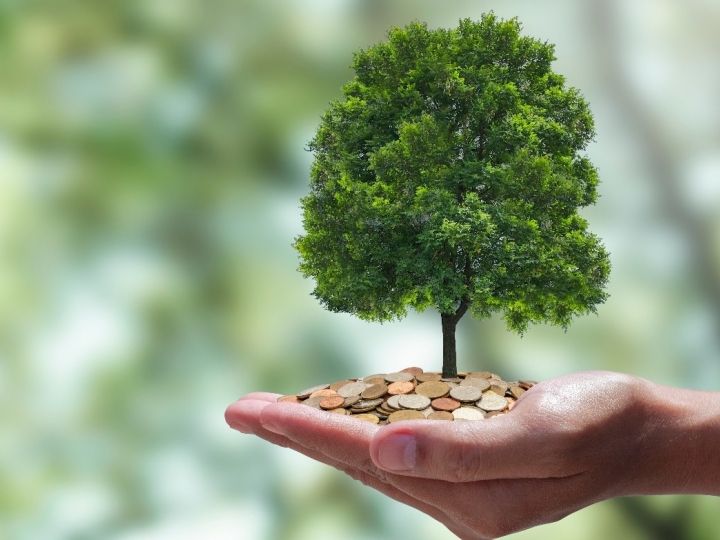 Indústria pode se desenvolver de maneira sustentável  por meio da biodiversidade e mercado de carbono