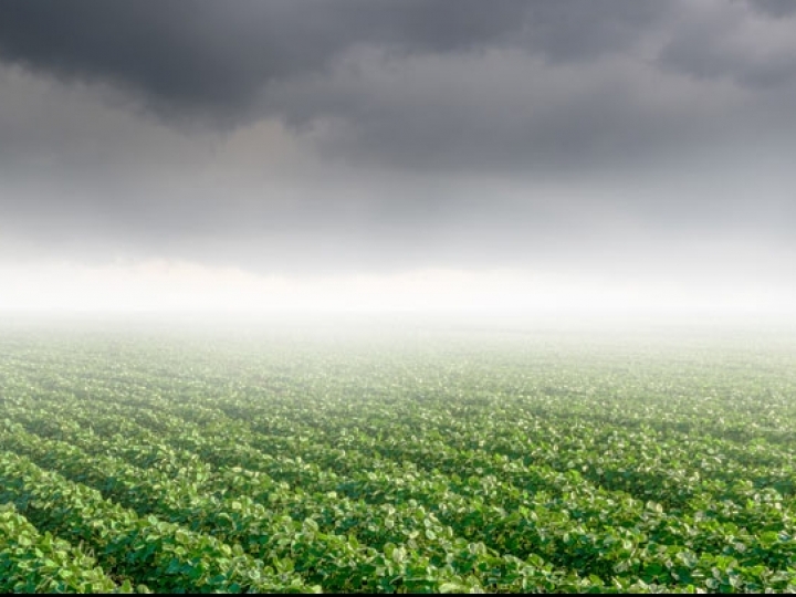 Monitoramento das lavouras indica pouco volume de chuvas