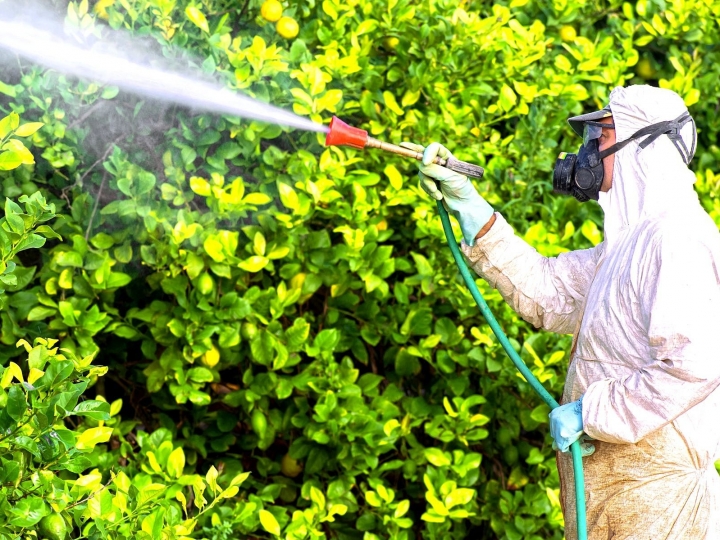 Quais as principais mudanças no agro com a NR 31?
