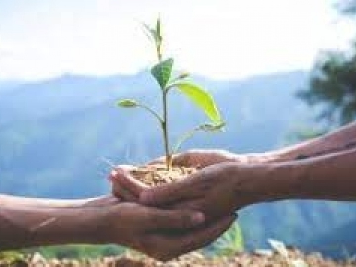 Alysson Paolinelli e Alexandre Garcia debatem práticas ESG na agricultura em evento online