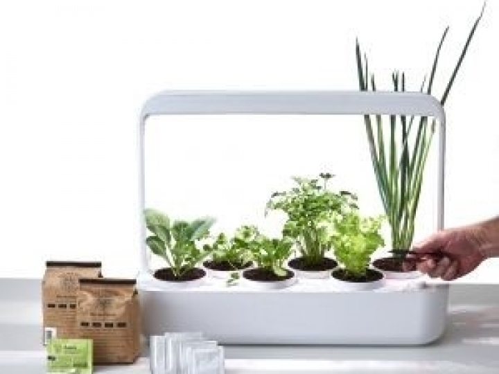 Startup de agricultura urbana lança horta inteligente para quem deseja cultivar seu próprio alimento em casa
