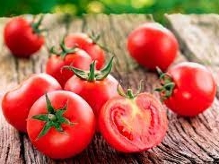 Cultivo de tomate orgânico será tema de treinamento do Instituto Biológico