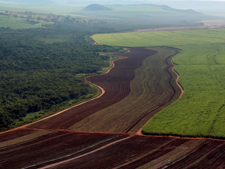 Usinas da Copersucar preservaram área ambiental do tamanho da cidade do Rio de Janeiro