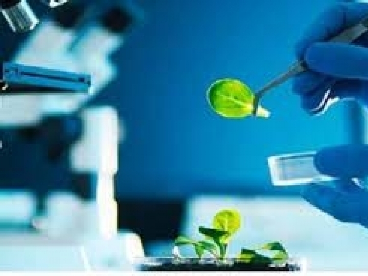 Tecnologias IB de bioinsumos trazem benefício econômico de R$ 398,5 milhões anuais para agro brasileiro