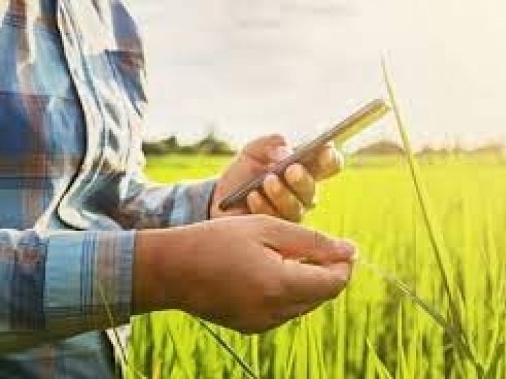 Banco ABC Brasil analisa a revenda de insumos com representantes do agronegócio