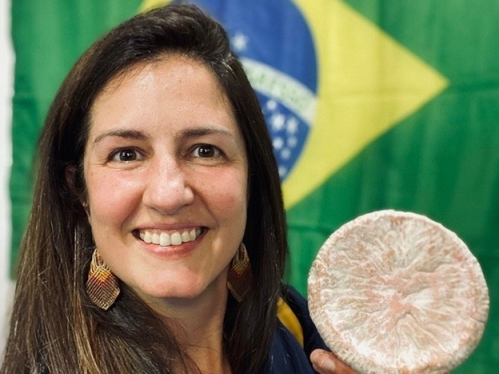 Leite de qualidade é o primeiro passo para produzir um bom queijo