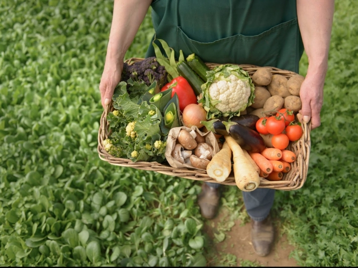 Biofach 2022: Inscrições abertas para a maior feira de orgânicos do mundo