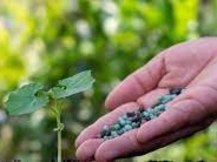 8º Congresso Brasileiro de Fertilizantes mostrará as expectativas do setor e sua contribuição para a evolução do agro nacional