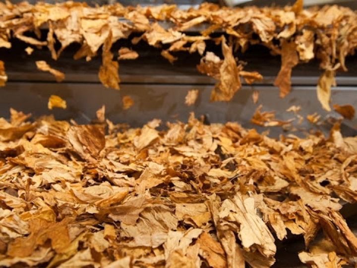 Ao investir em novas tecnologias, produtor de tabaco reduz custos de produção e amplia capacidade de cura