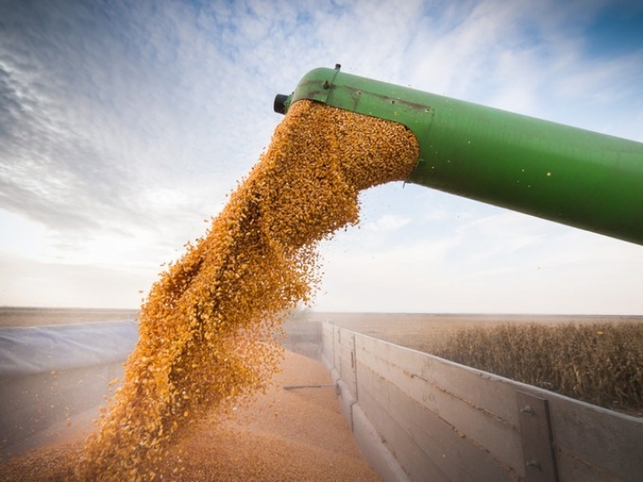 Levantamento da Conab indica um volume de produção de 288,61 milhões de toneladas de grãos na safra 2021/22