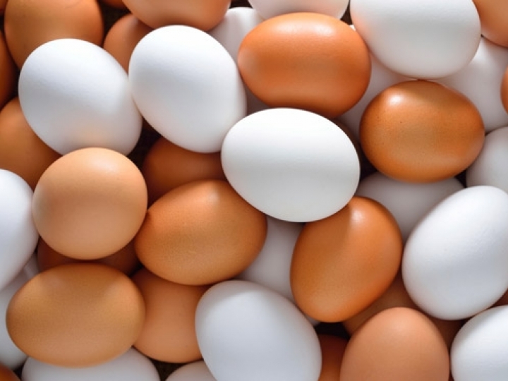 Dia Mundial do Ovo: Setor celebra perspectiva de novo recorde de consumo