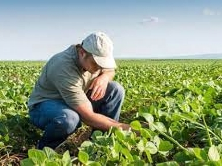 Região Centro-Oeste tem escassez de profissionais qualificados para o agronegócio 