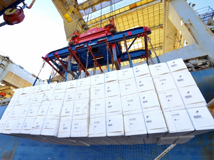 Portos do Paraná fecham setembro com quase 44,5 milhões de ton de cargas