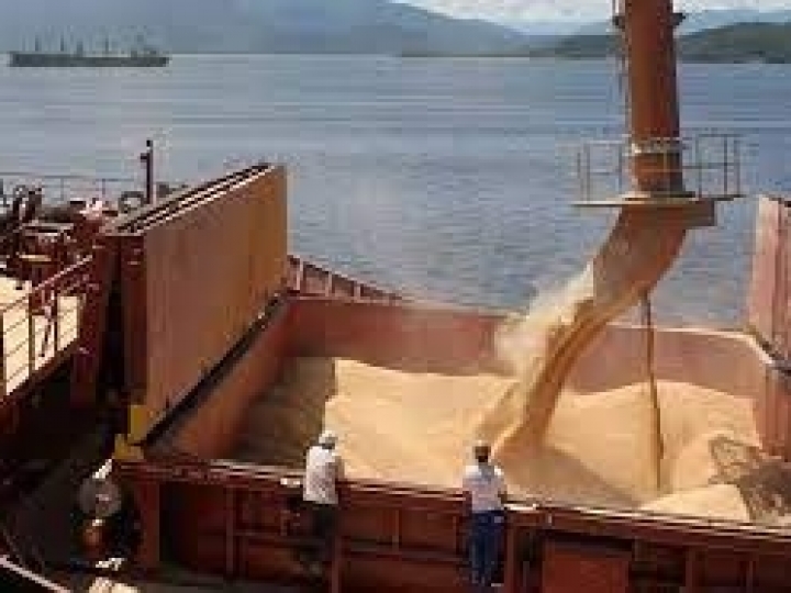 Conab destaca queda nas exportações de farelo de soja e aumento nas importações de fertilizantes