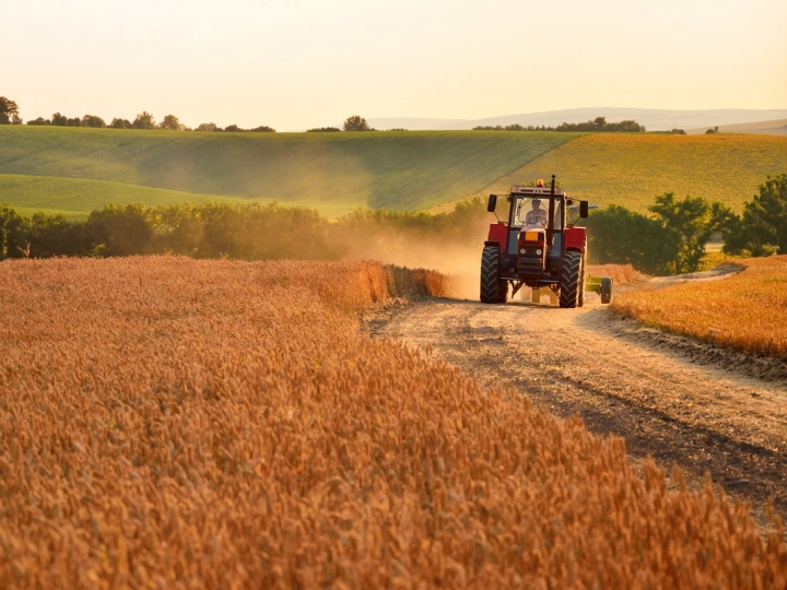Produção em outubro cresceu 2,6%, mas está abaixo da média histórica para o período 