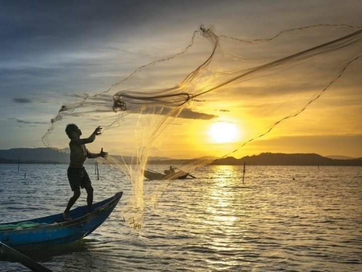 Pesca artesanal e industrial em SP gerou receita de R$ 60 milhões no segundo semestre de 2020