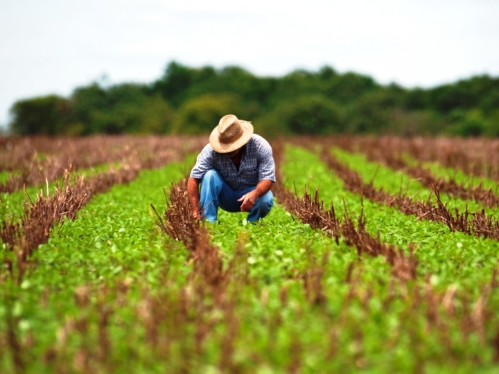 Produtor tem compromisso com a sustentabilidade ambiental