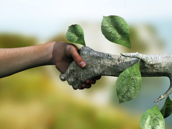 Na COP26, ministro destaca que preservação ambiental é prioridade das políticas de comunicação 
