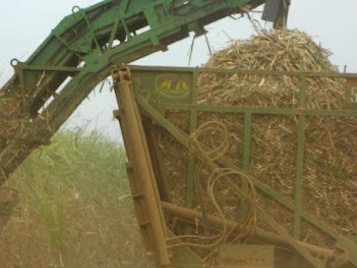 Webinar apresenta vantagens do Ácido Clorídrico no setor sucroenergético
