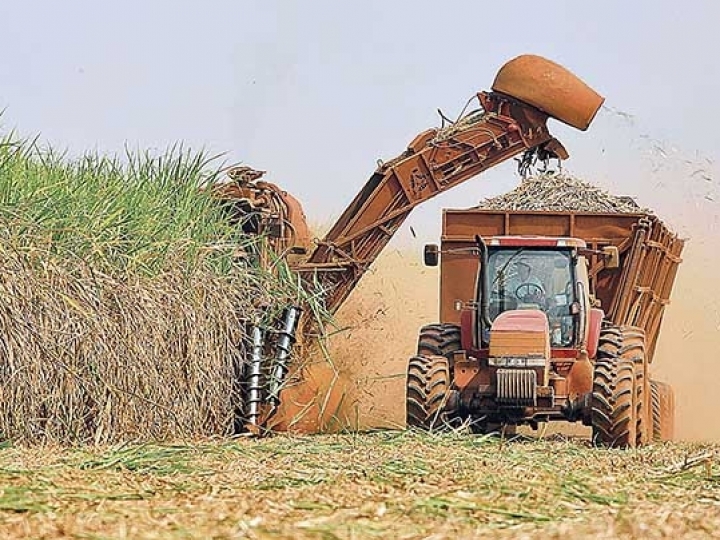 Produção de açúcar no Centro-Sul deve cair 59%