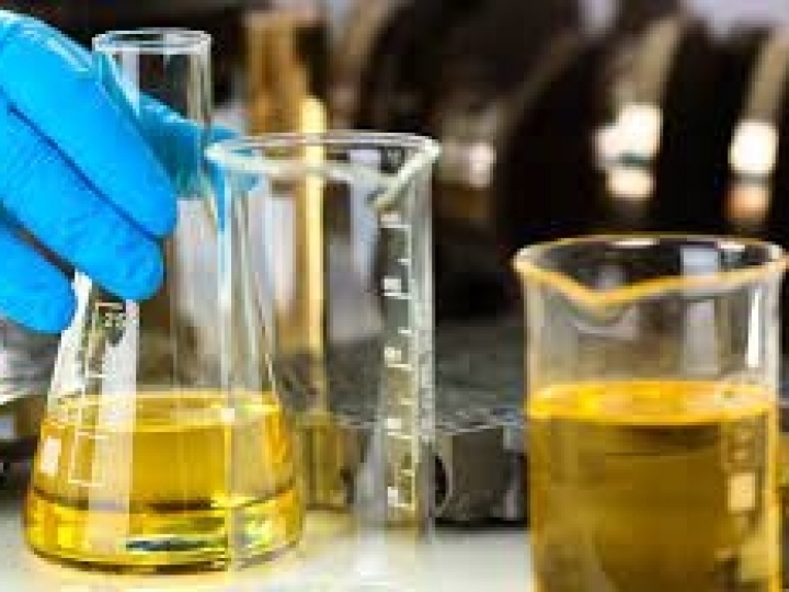 Produção de biodiesel favorece a oferta de alimentos no país