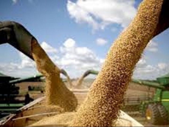 Produção próxima a 289,8 milhões de toneladas 