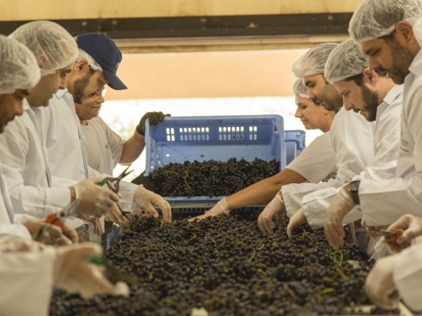 Fotos: Emerson Ribeiro