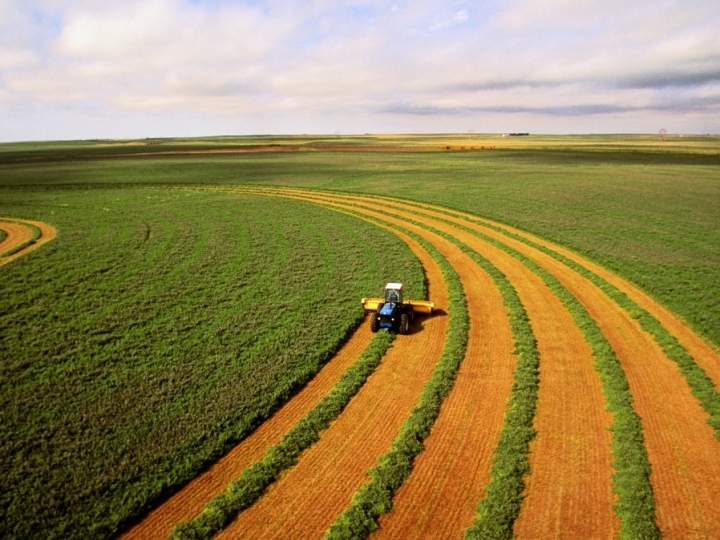 Agronegócio de São Paulo foi mais forte do que todas as crises