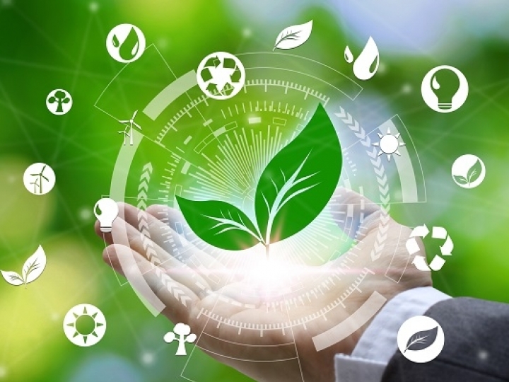 Créditos de carbono podem aquecer a economia