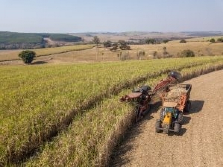 Tecnologias da Embrapa para o setor do Açúcar e Álcool