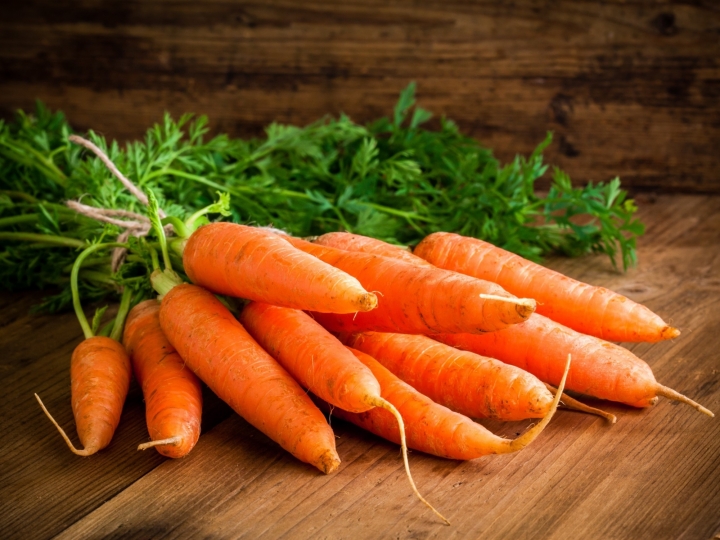ISLA Sementes lança sua primeira cenoura híbrida de verão 