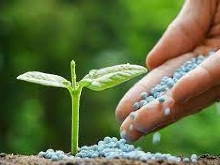 Índice de Poder de Compra de Fertilizantes de novembro aponta para alta no mercado