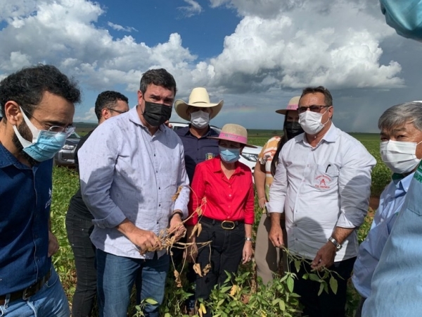 Ministra e comitiva visitam lavoura afetada pela seca em Naviraí (MS). Foto: Dirlei Oliveira/SeinfraMS