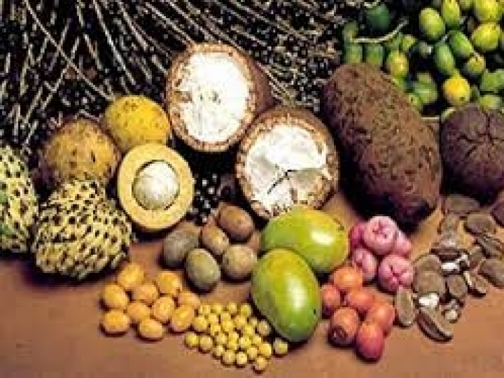 PGPM-Bio conta com novos preços mínimos para safra 2022