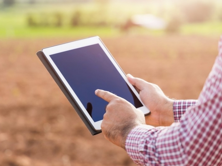  Cafeicultores se preparam para safra em feira de negócios da Cooxupé