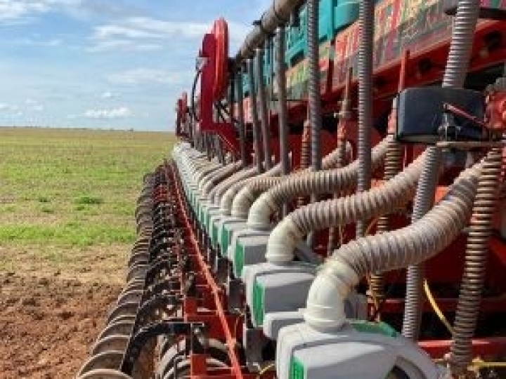 Produtor deve ter atenção com o coeficiente de variação e a singulação no plantio da safrinha