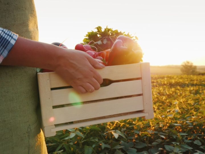 Fungicida multíssitio recebe sinal verde para ser utilizado em FLV