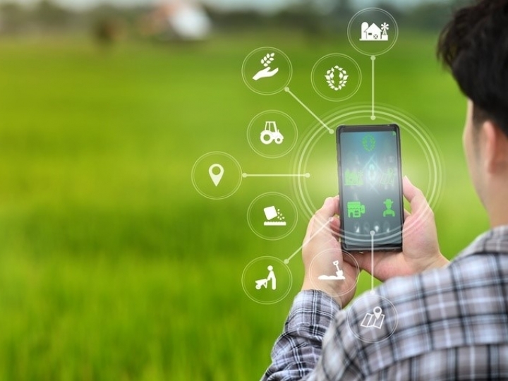  Feira da Cooxupé traz lançamentos da cafeicultura nacional para reduzir custos nas lavouras 