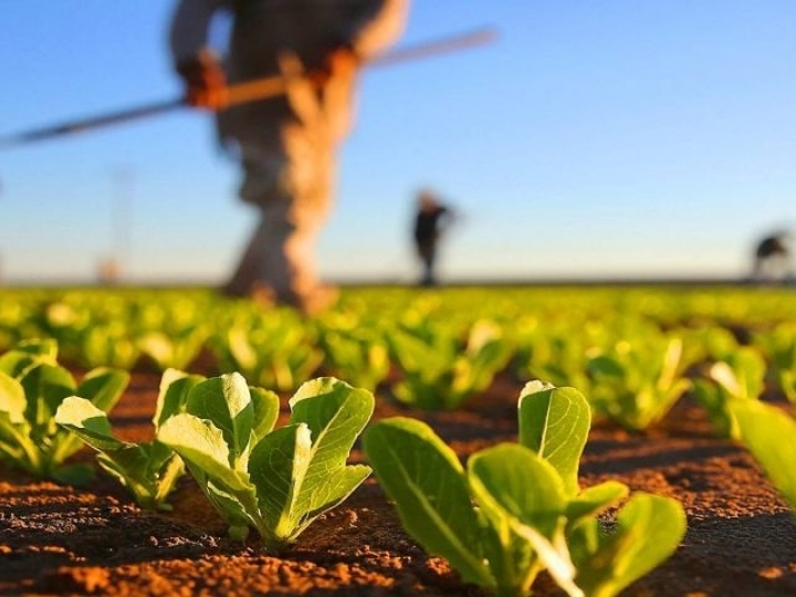 Governo reabre operações de custeio do Pronaf