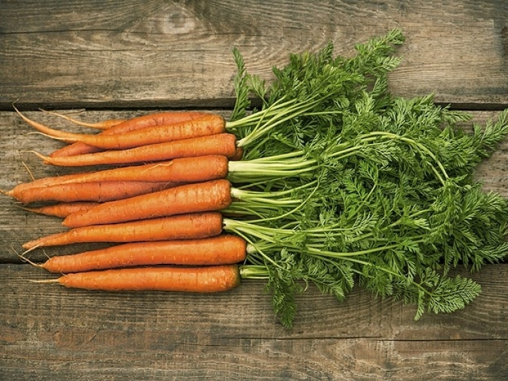 Embrapa disponibiliza publicação sobre sistema de produção de cenoura