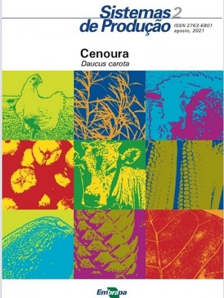 A publicação está disponível para download gratuito. Foto: Divulgação