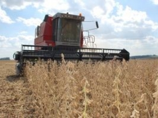 Colheita de soja na Embrapa Trigo, em Passo Fundo (RS), safra 2015. Foto de 17/03/2015.  Crédito da foto: Luiz Henrique Magnante. 