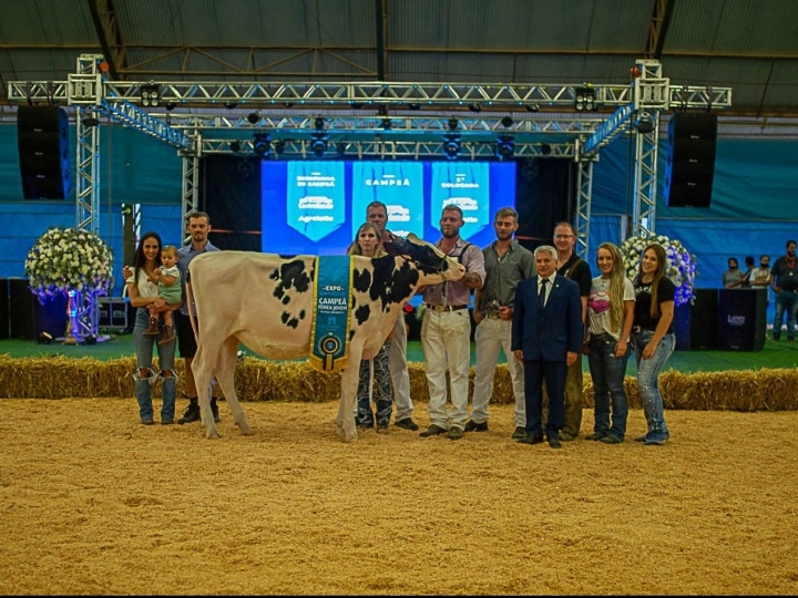 Julgamento do gado jovem marca primeiro dia da ExpoCastrolanda 