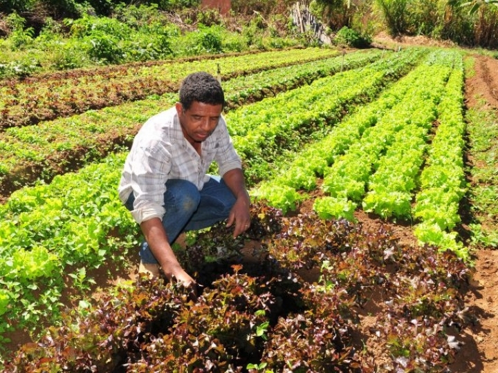 Garantia-Safra autoriza pagamento para mais de 16 mil agricultores familiares em março