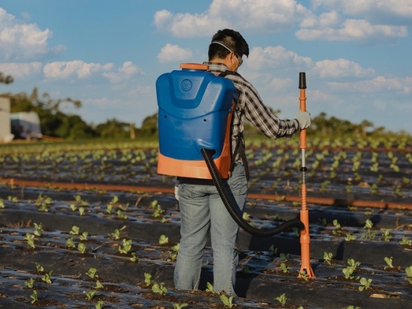 Jacto GM-2 no canteiro com sistema mulching.  Foto: Divulgação