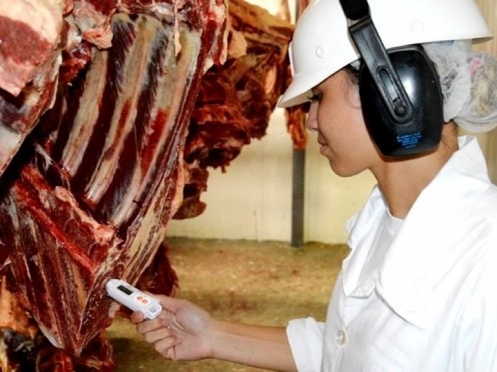 O futuro da inspeção de carnes do Brasil estará em discussão no seminário sobre defesa agropecuária