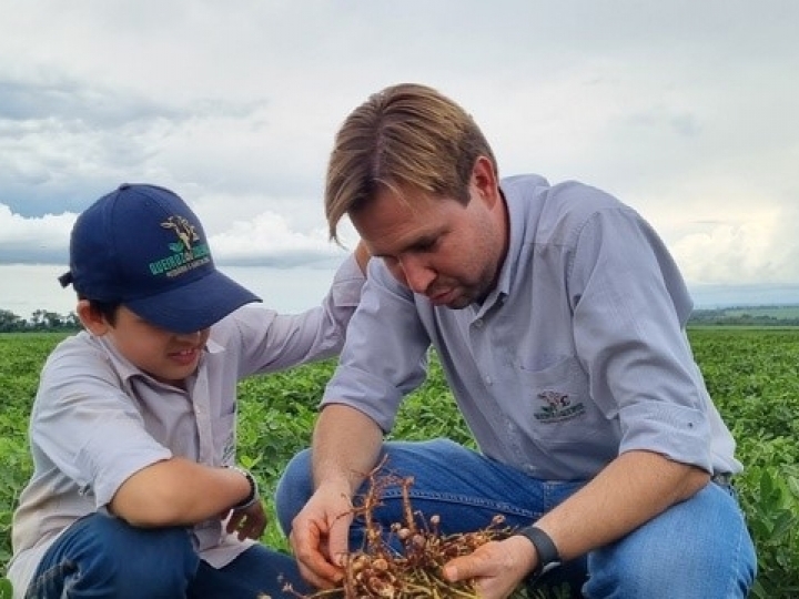 Avanço do amendoim: produtores investem na cultura e garantem alta valorização do mercado